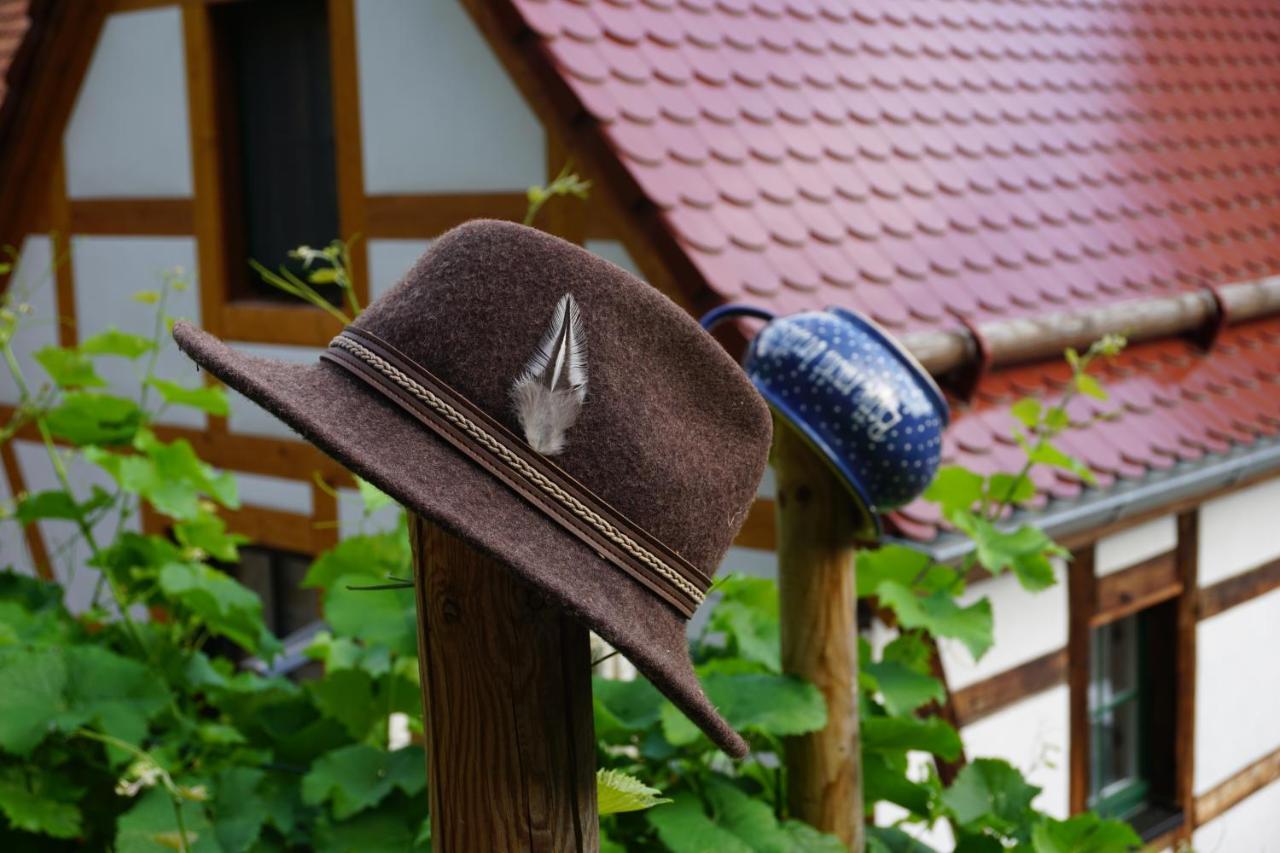 Balancehaus Kohren-Sahlis, Dein Kurhaus In Sachsen Exterior foto